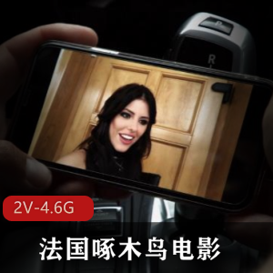 lulissa-源码臻享 精编版 [5V-15.8G]